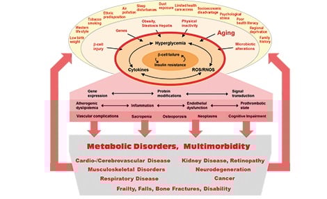 Risk Factors