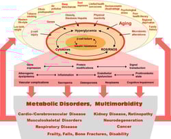 risk_factors_in_the_evolution_of_diabetes