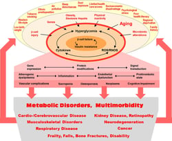 risk_factors_in_the_evolution_of_diabetes