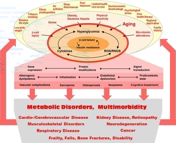 risk_factors_in_the_evolution_of_diabetes