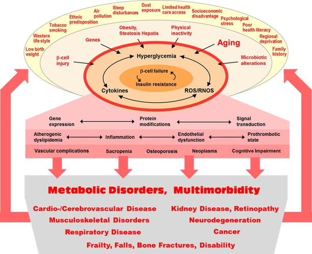 risk_factors_in_the_evolution_of_diabetes